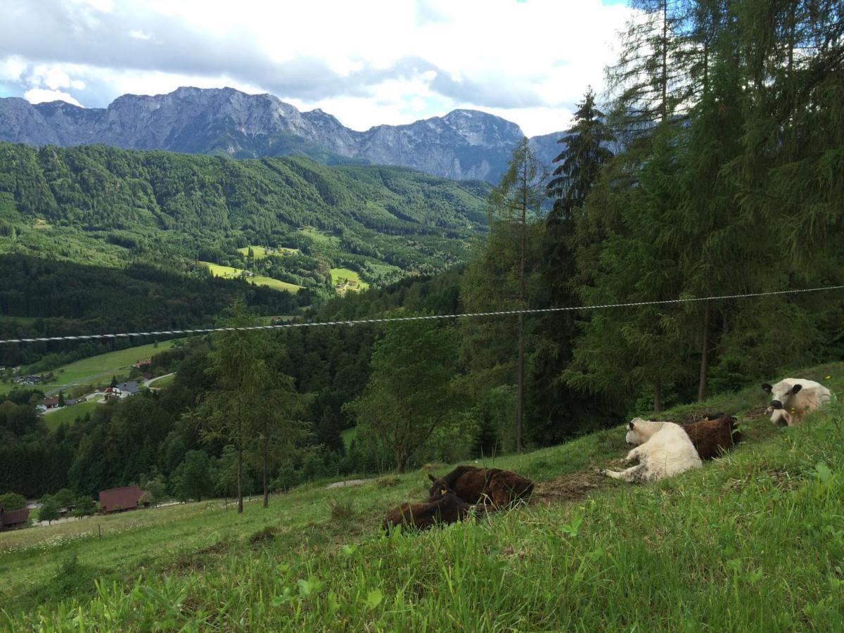 Kreitalm - Kraftplatz Im Salzkammergut Neukirchen  Extérieur photo